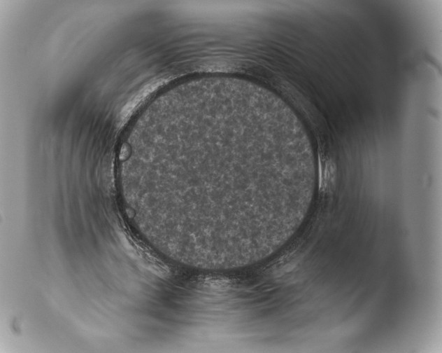 X0000103960531200810171904