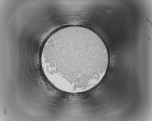 X0000103960532200810171904