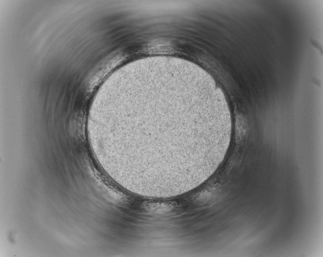 X0000103960533200810171904