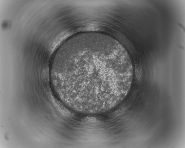 X0000103960534200810171904