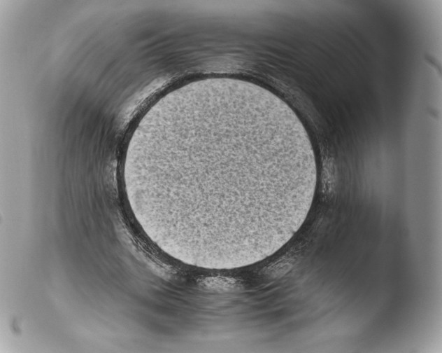 X0000103960535200810171904