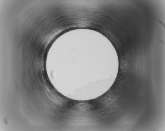 X0000103960536200810171904