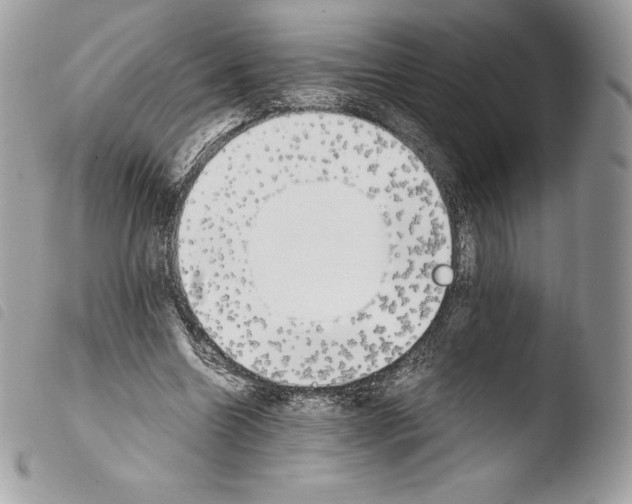 X0000103960538200810171904