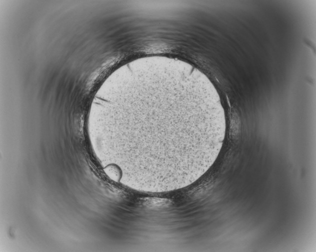 X0000103960539200810171904