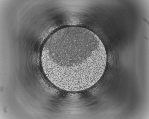 X0000103960540200810171904