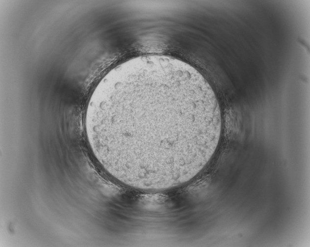 X0000103960541200810171904