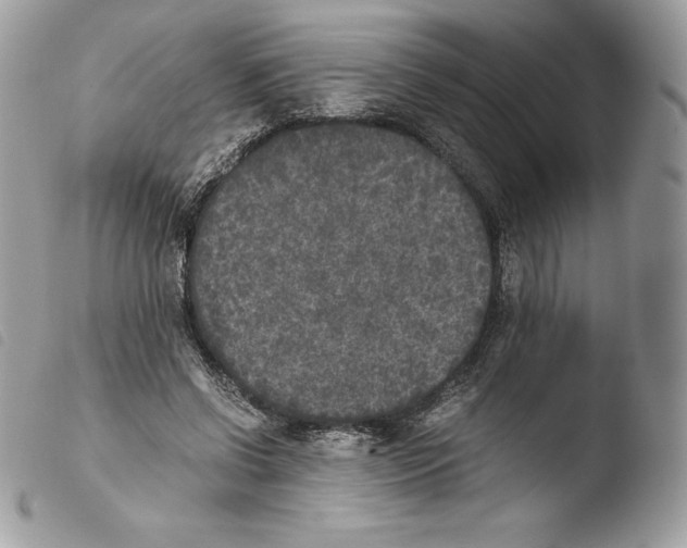 X0000103960542200810171904