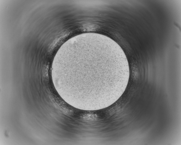 X0000103960543200810171904