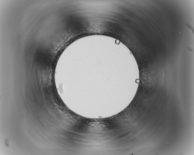 X0000103960544200810171904