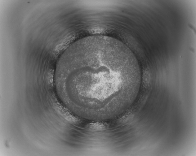 X0000103960545200810171904