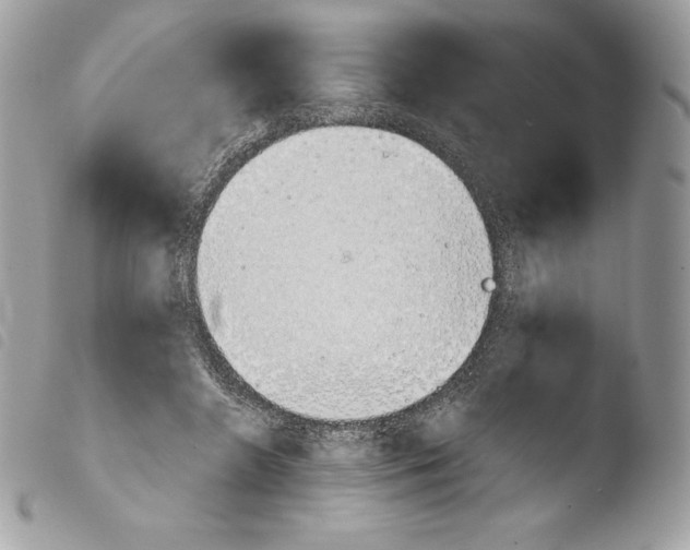 X0000103960546200810171904