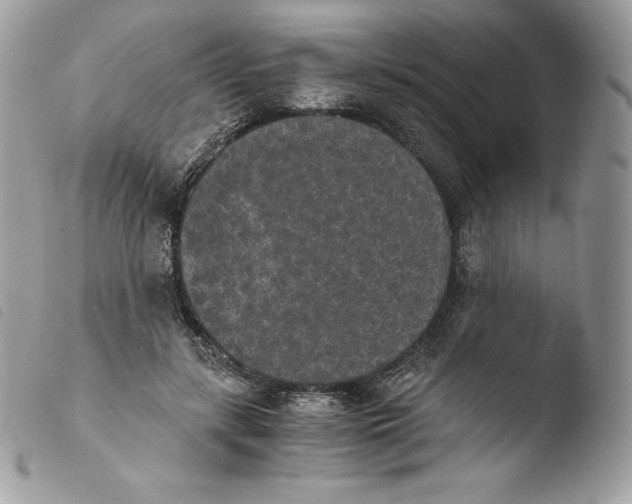 X0000103960547200810171904