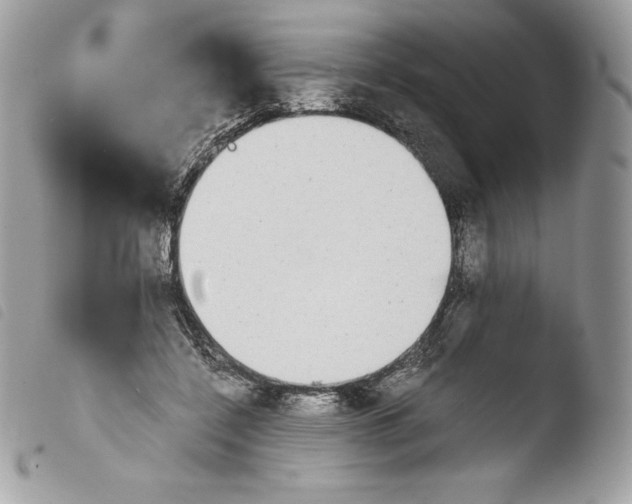 X0000103960548200810171904