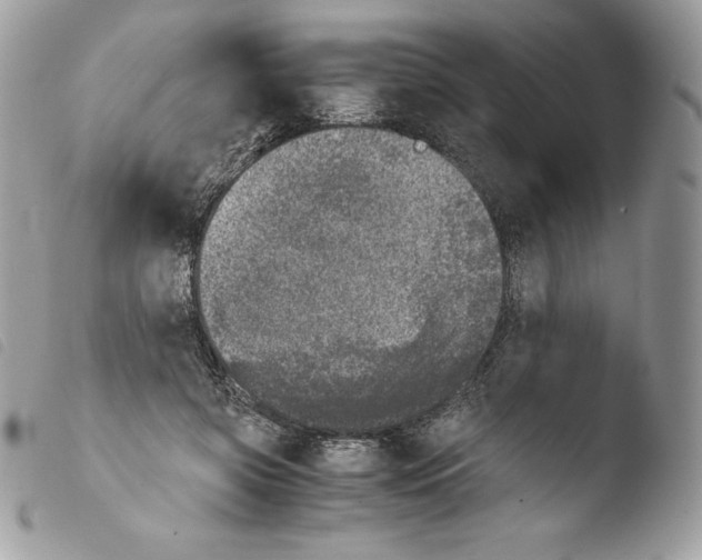 X0000103960549200810171904