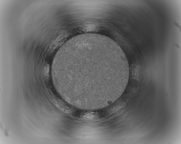 X0000103960550200810171904