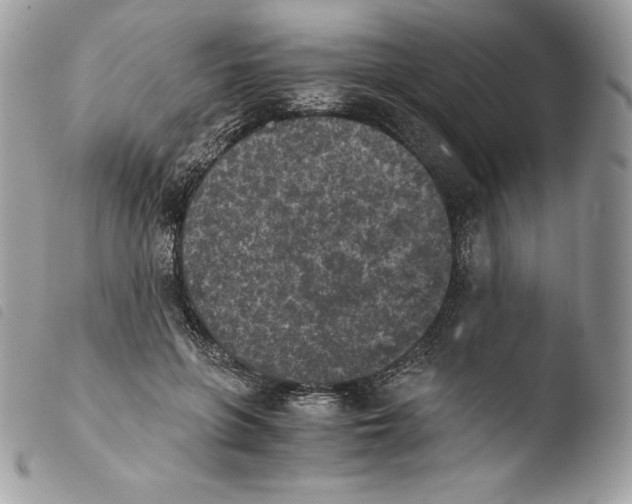 X0000103960551200810171904