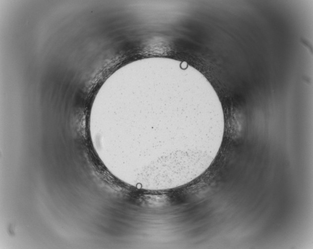 X0000103960552200810171904