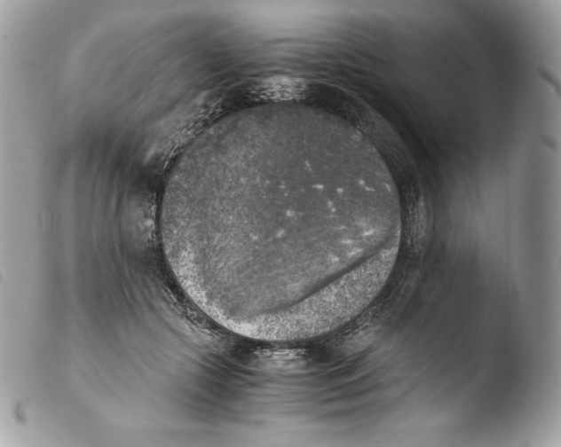 X0000103960553200810171904