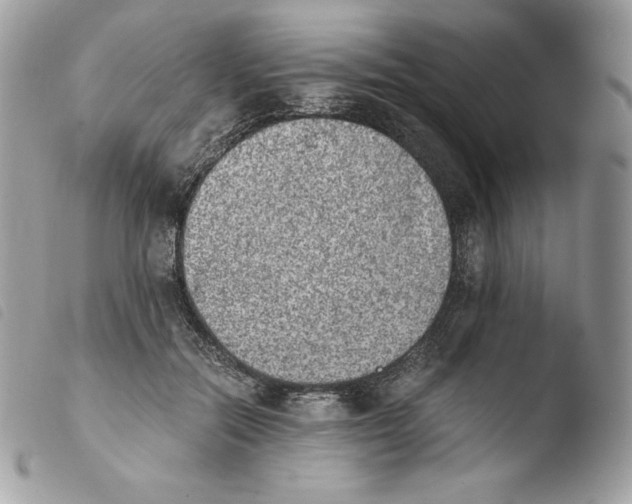 X0000103960554200810171904