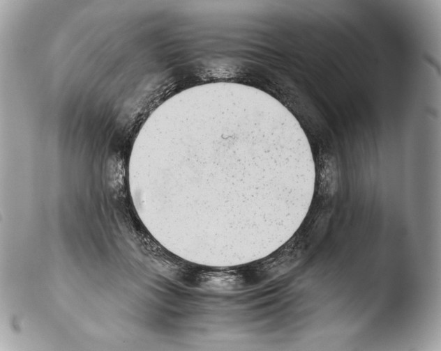 X0000103960555200810171904