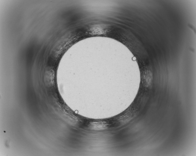 X0000103960556200810171904