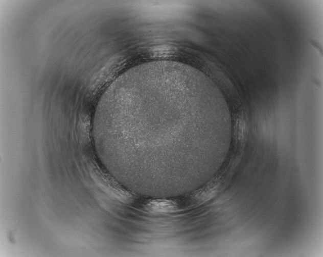 X0000103960557200810171904