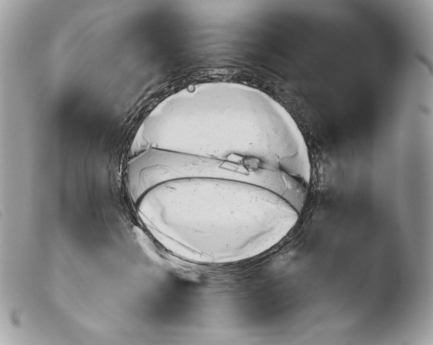 X0000103960558200810171904