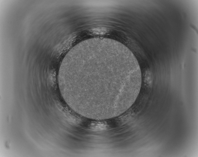 X0000103960559200810171904