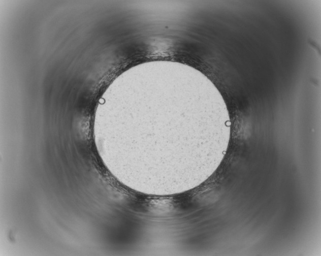 X0000103960560200810171904