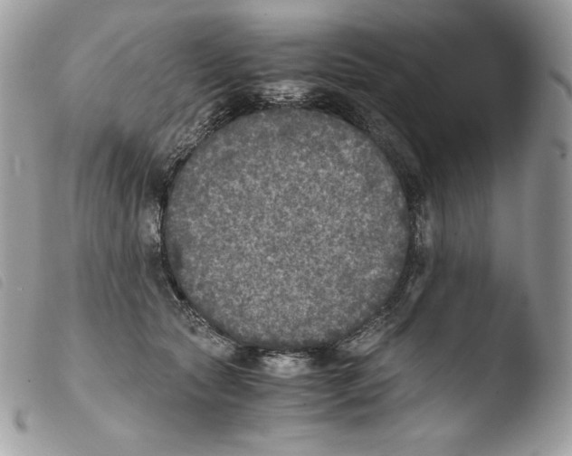 X0000103960561200810171904