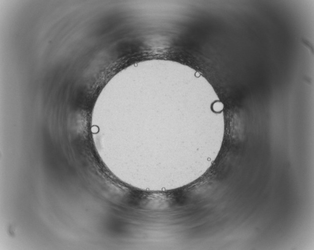 X0000103960562200810171904