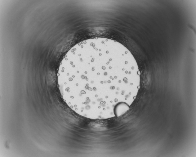 X0000103960563200810171904