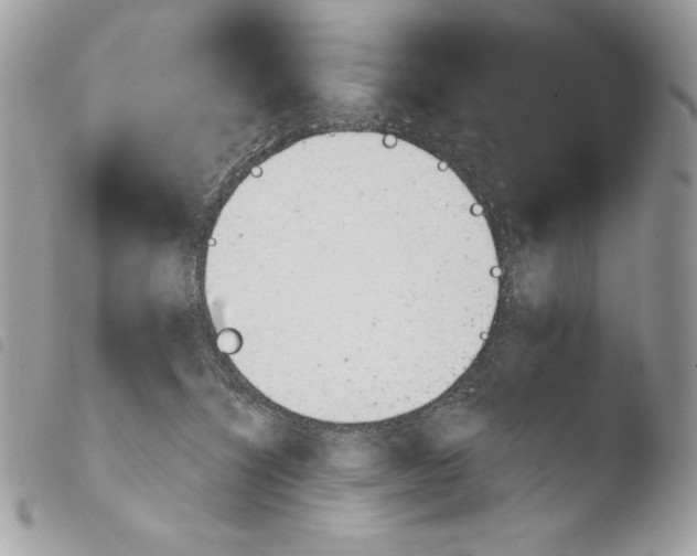 X0000103960564200810171904