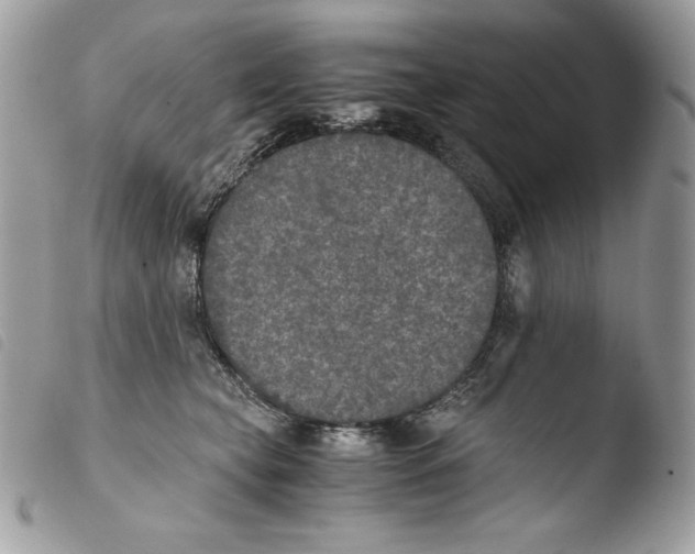 X0000103960565200810171904