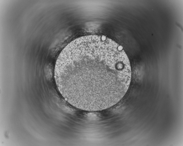 X0000103960566200810171904