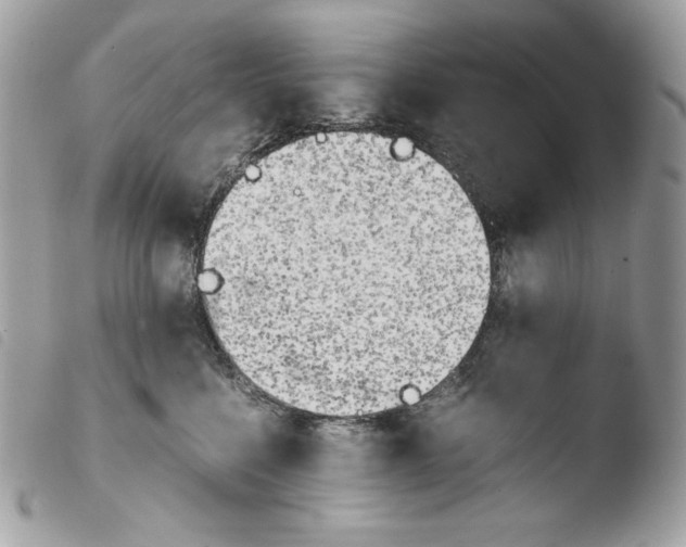 X0000103960568200810171904