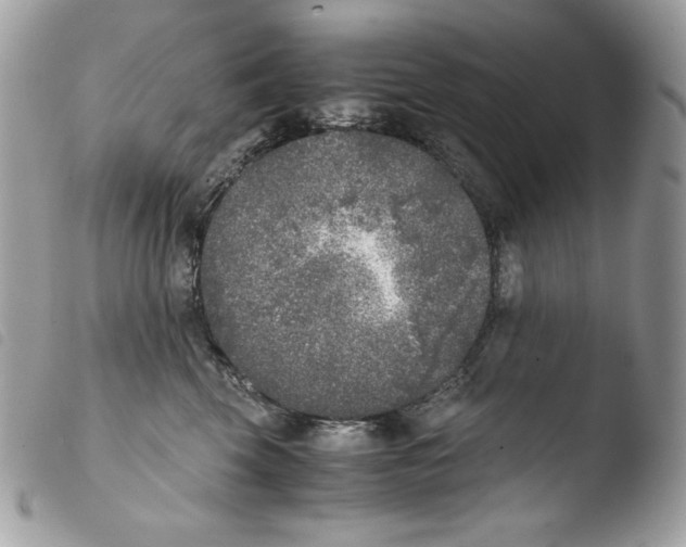 X0000103960569200810171904