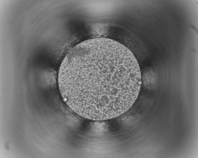 X0000103960570200810171904