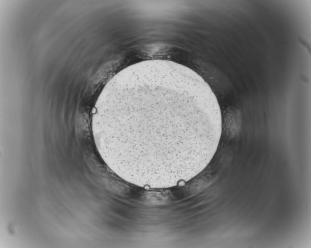 X0000103960571200810171904