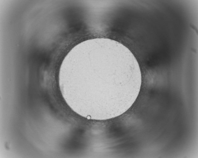 X0000103960572200810171904