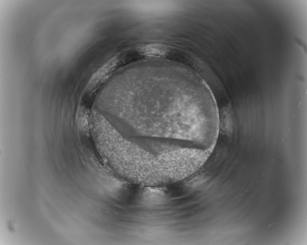 X0000103960573200810171904