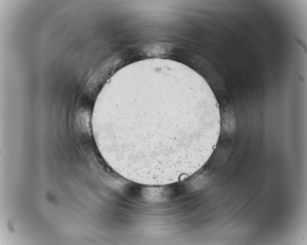 X0000103960575200810171904