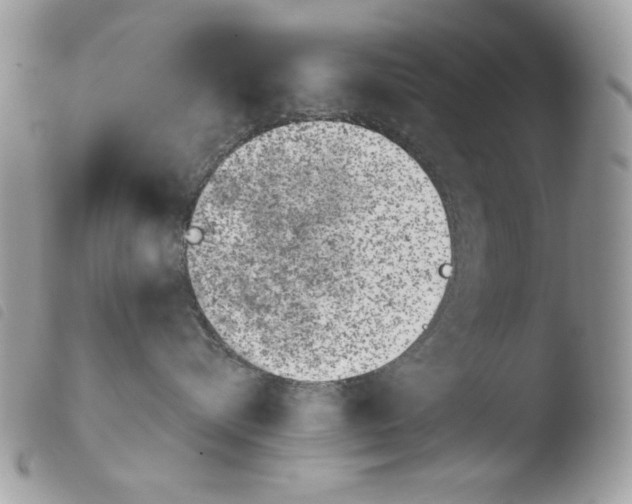 X0000103960576200810171904