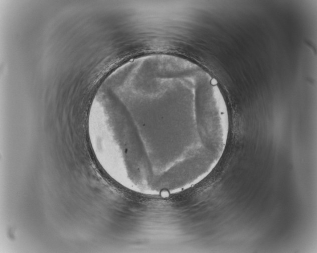 X0000103960577200810171904