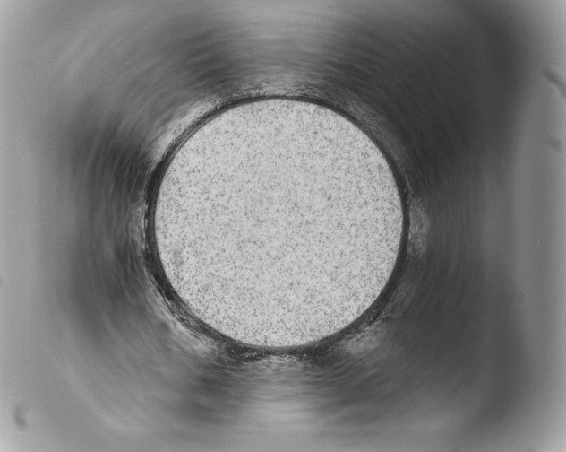 X0000103960578200810171904