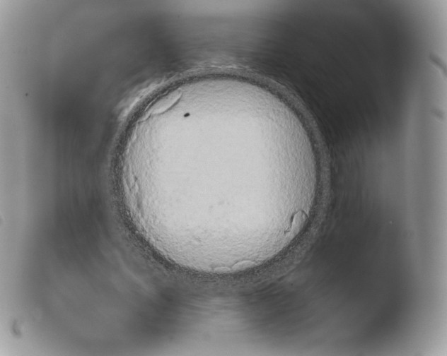 X0000103960579200810171904