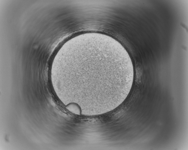 X0000103960580200810171904