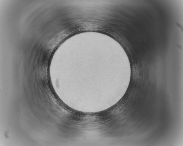 X0000103960581200810171904