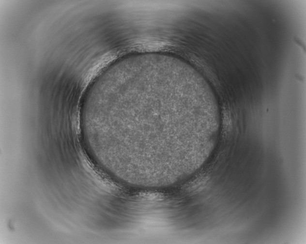 X0000103960582200810171904