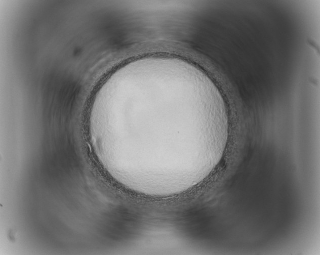 X0000103960583200810171904